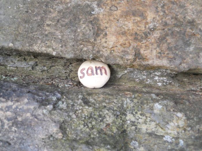 sam stone2