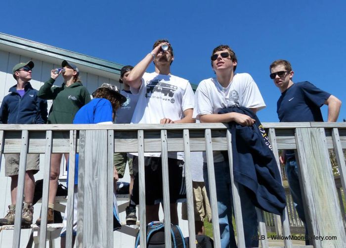 264477_10151417058886516_1158393960_n